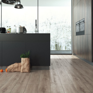 Alternative view of D4529