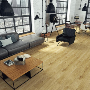 Alternative view of D4582